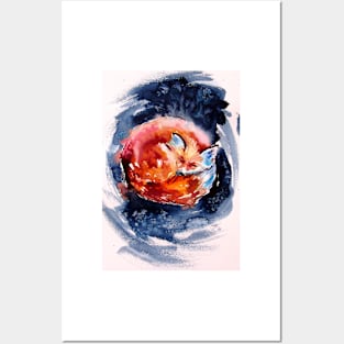 Sleeping red fox Posters and Art